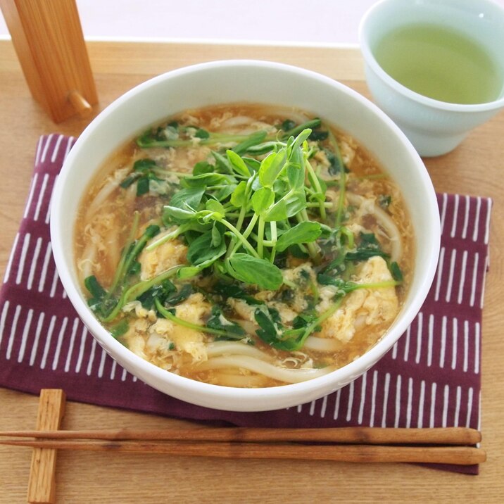 たっぷり豆苗のふわふわ玉子とじうどん